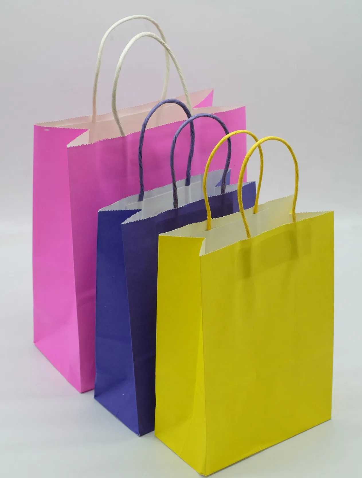 Indian paper bag business owner holding eco packaging